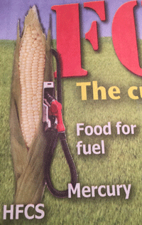 corn ethanol environment